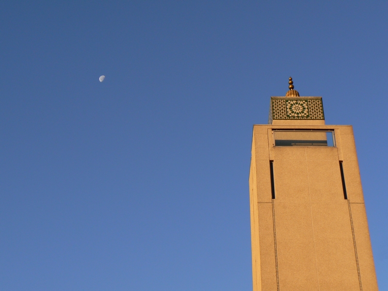 la grande mosquee: la mosquee et la lune 1